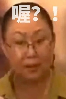 Siqin Gaowa's confused expression pack