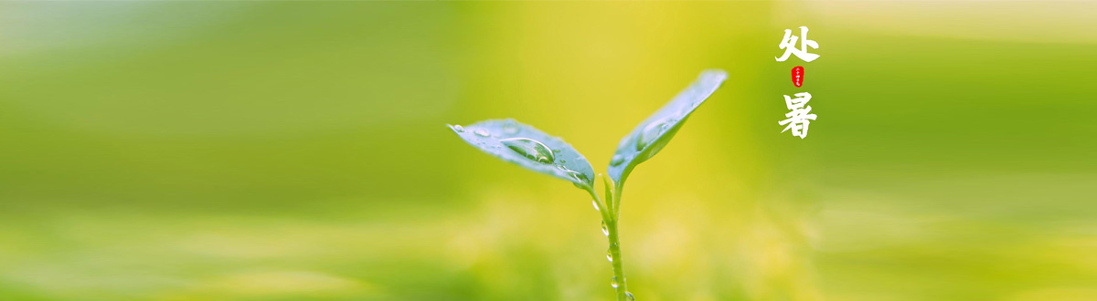 Summer Desktop Wallpaper