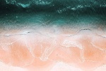 Summer fresh mobile wallpaper