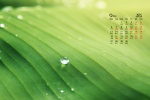 2021年9月綠色植物護眼高清日曆壁紙圖片