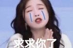 求求你了