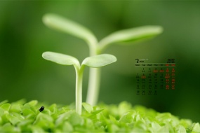 March 2022 eye-protecting green landscape desktop calendar wallpaper