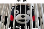 熊本熊放我出去（单身）