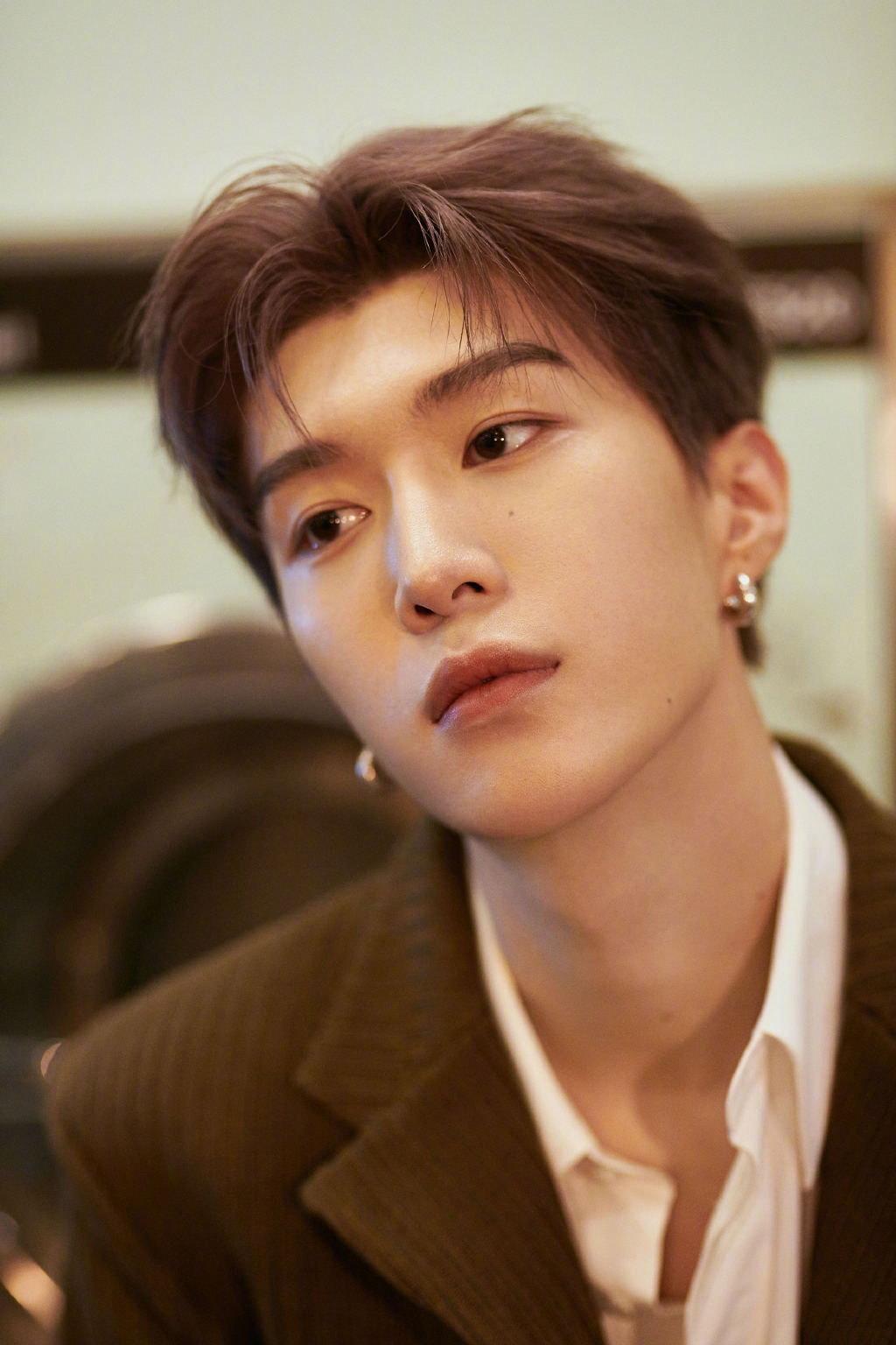 Fan Chengcheng handsome photo in brown suit
