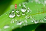 2022年4月節氣穀雨日曆壁紙