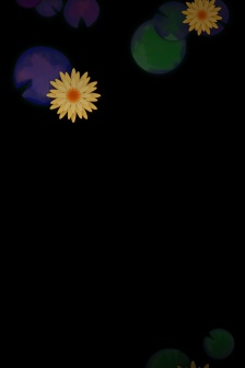 黑色簡約小清新花朵手機壁紙