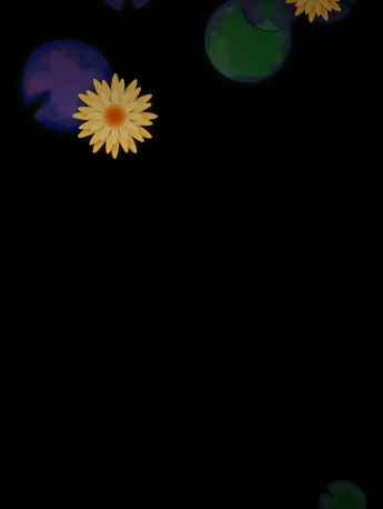 黑色简约小清新花朵手机壁纸