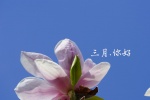 2月再见3月你好图片桌面壁纸