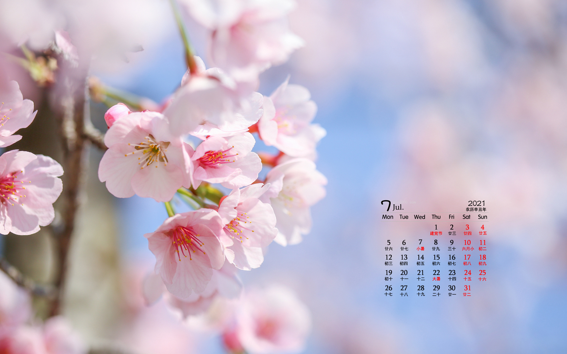 2021年7月唯美花卉植物桌面日历壁纸