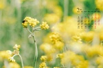 July 2021 fresh summer scenery desktop calendar wallpaper