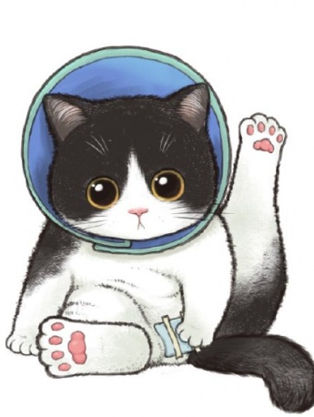 绝育猫咪手绘风头像