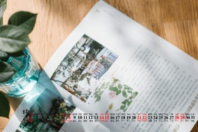 August 2021 Still Life Desktop Calendar Wallpaper