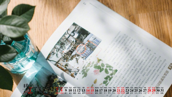 2021年8月靜物桌麵日曆壁紙