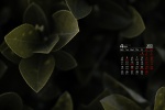 2022年4月翠绿色植物电脑日历壁纸