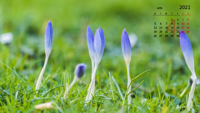 April 2021 Flowers and Plants HD Calendar Wallpaper