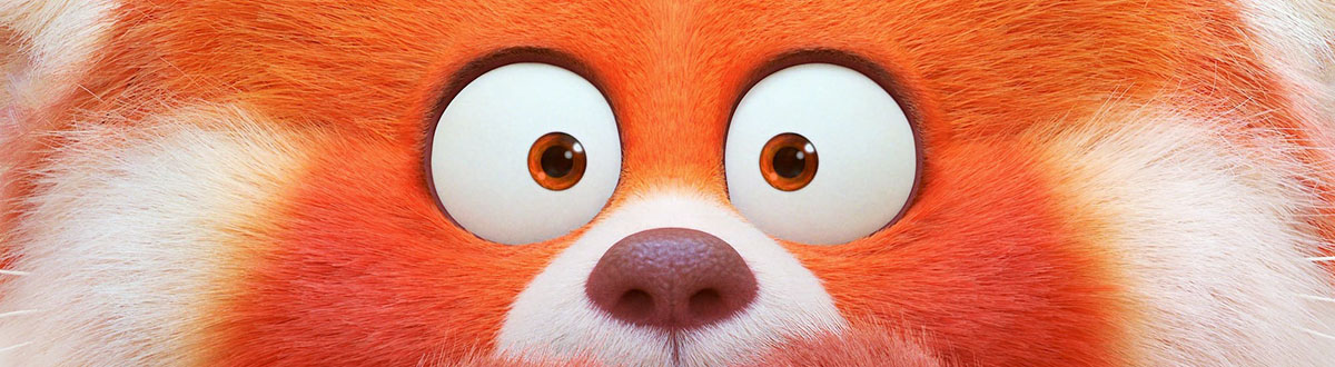 Metamorphosis of youth desktop wallpaper