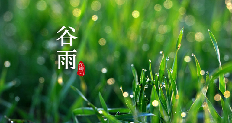谷雨图片大全