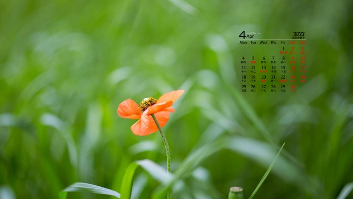 April 2022 fresh and elegant flowers desktop calendar wallpaper