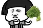 不要让我看到香菜