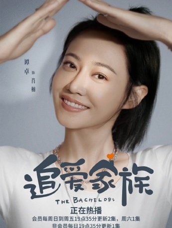 电视剧《追爱家族》人物海报图片