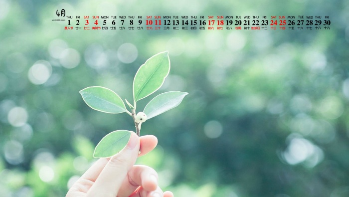 April 2021 small fresh green floral desktop calendar wallpaper