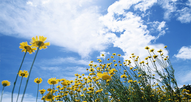 Baiyun desktop wallpaper collection