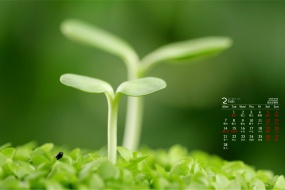 February 2022 Fresh Eye Care Calendar Wallpaper