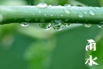 24 Solar Terms: Rain Season Picture Wallpaper