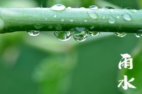 24 Solar Terms: Rain Season Picture Wallpaper