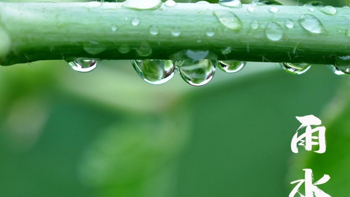 24节气之雨水时节图片壁纸