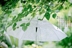 March 2022 green leaves flowers blue sky desktop calendar wallpaper