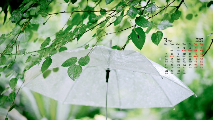 March 2022 green leaves flowers blue sky desktop calendar wallpaper