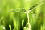 April 2021 Eyesight Protecting Green Fresh Desktop Calendar Wallpaper