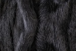 Fur series creative mobile wallpaper