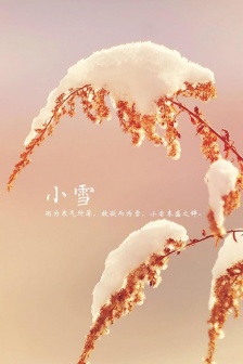Traditional solar term light snow beautiful mobile wallpaper