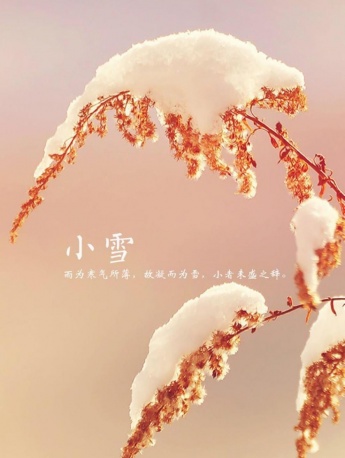 传统节气小雪唯美手机壁纸