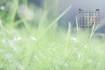 Simple and fresh desktop calendar wallpaper for September 2021