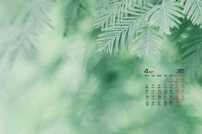 April 2022 eye-protecting natural green desktop calendar wallpaper