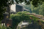 Misty Jiangnan scenery mobile wallpaper