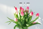 April Fool's Day Beautiful Flowers Pictures Desktop Wallpaper