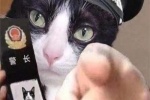 Kitten police funny emoticon picture