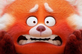 Metamorphosis of Youth Panda Expression Computer Wallpaper