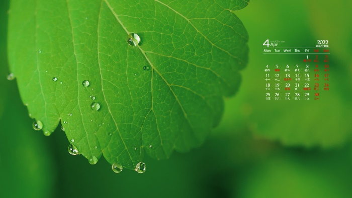 April 2022 green plant eye protection HD calendar wallpaper