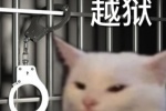 猫咪越狱表情包