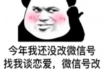 今年我还没改微信号，找我谈恋爱，微信号改你名字，先到先得
