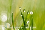 24 solar terms Qingming Festival outing pictures desktop wallpaper
