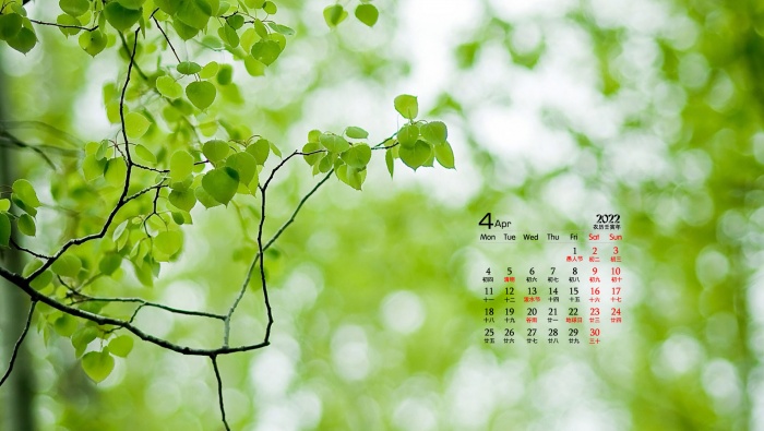April 2022 fresh eye-protecting green leaves calendar wallpaper