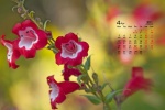 Eye-protecting green floral desktop calendar wallpaper for April 2021