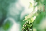 Elegant and fresh flowers calendar wallpaper for March 2022
