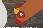 你鸡倒吗